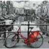 Алмазная мозаика ColorArt 40х50 Велопрогулка SP065 - фото 1