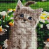 Набір алмазної мозаїки ColorArt 20х20 Кумедне кошеня DD1204 - фото 1