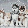 Алмазная мозаика ColorArt Хаски 40х50 SP092 - фото 1