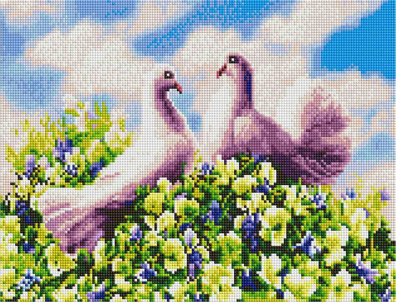Алмазна мозаїка ColorArt Пара голбів 30х40 ST470 - Зображення 2