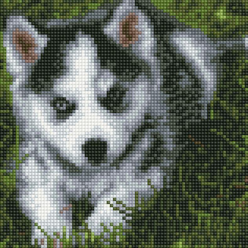 Алмазная мозаики ColorArt 20x20 Собачка DD1223