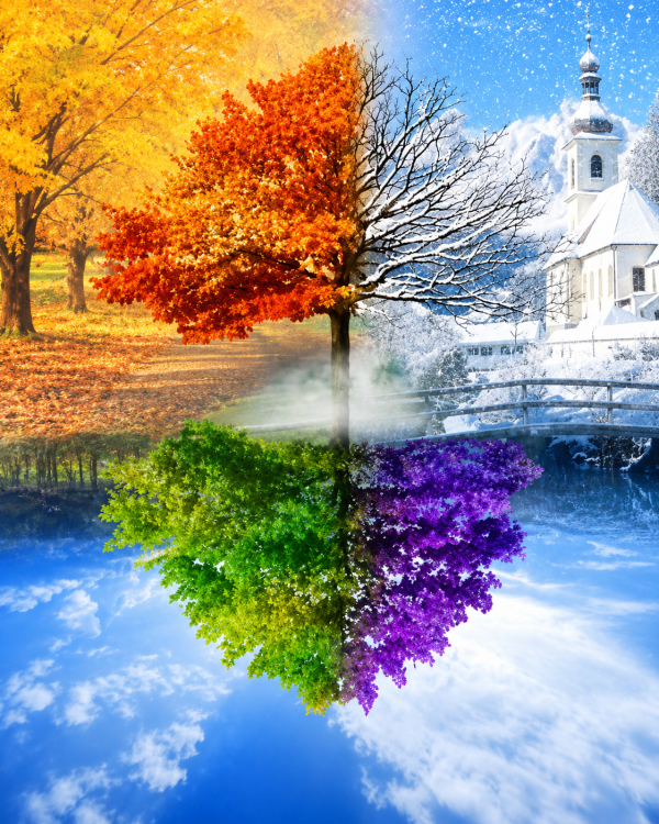 Алмазна мозаика ColorArt 40х50 Время года SP038