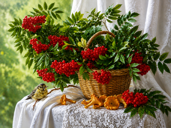 Алмазная мозаика ColorArt 30х40 Калина ST401