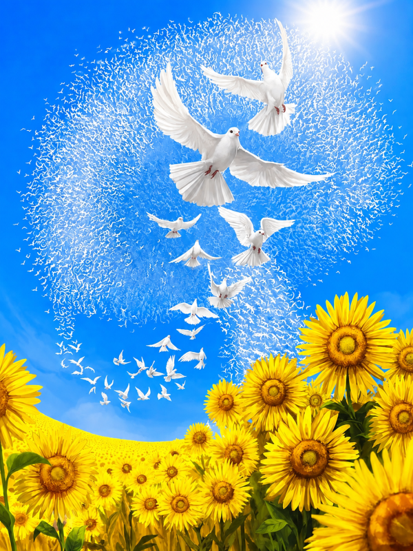 Алмазна мозаїка ColorArt 30х40см Голуби миру ST483